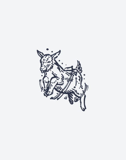 Aether Hooves 2 Pcs