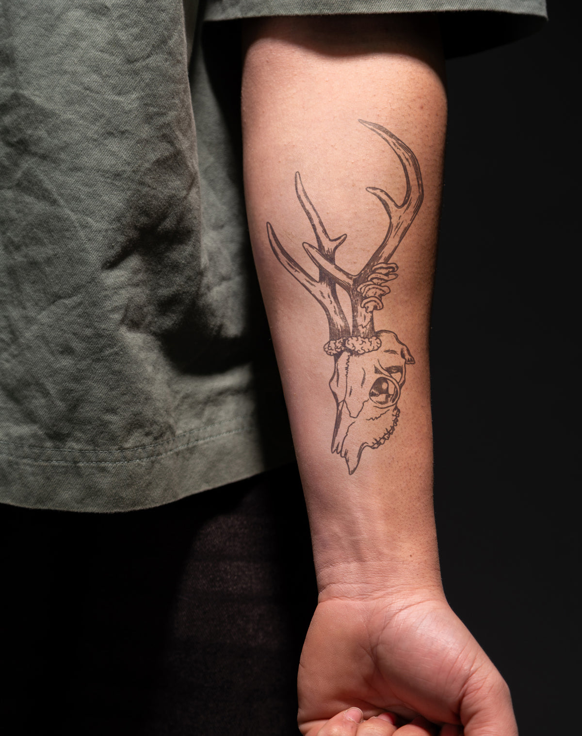 Antlers