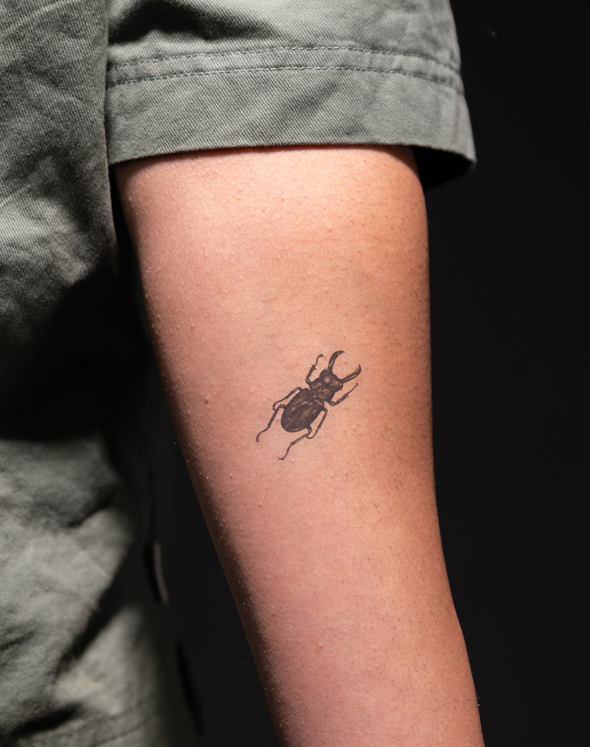 Beetle Crest 2 Pcs