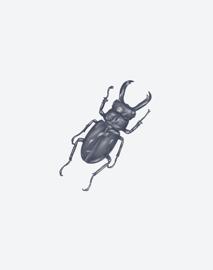 Beetle Crest 2 Pcs