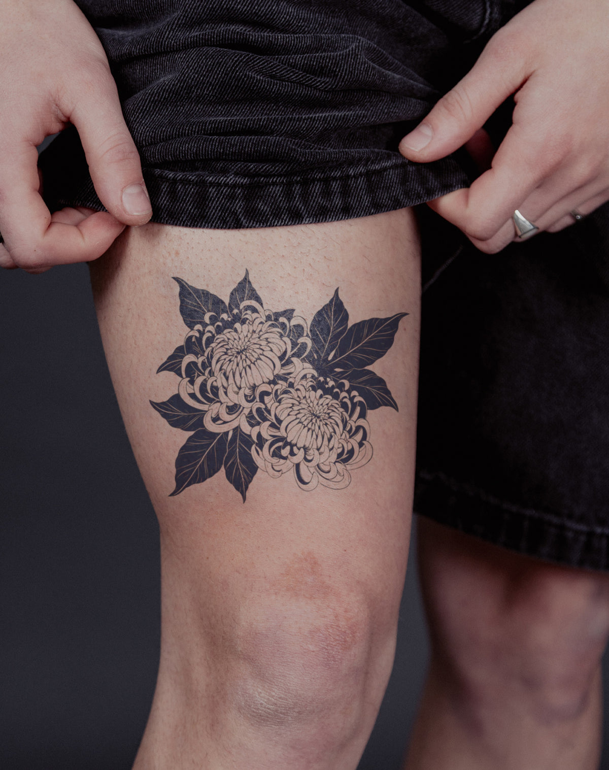 Chrysanthemum