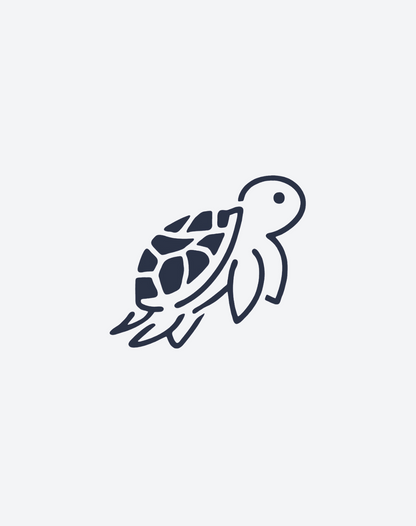 Cute Turtle 2 Pcs