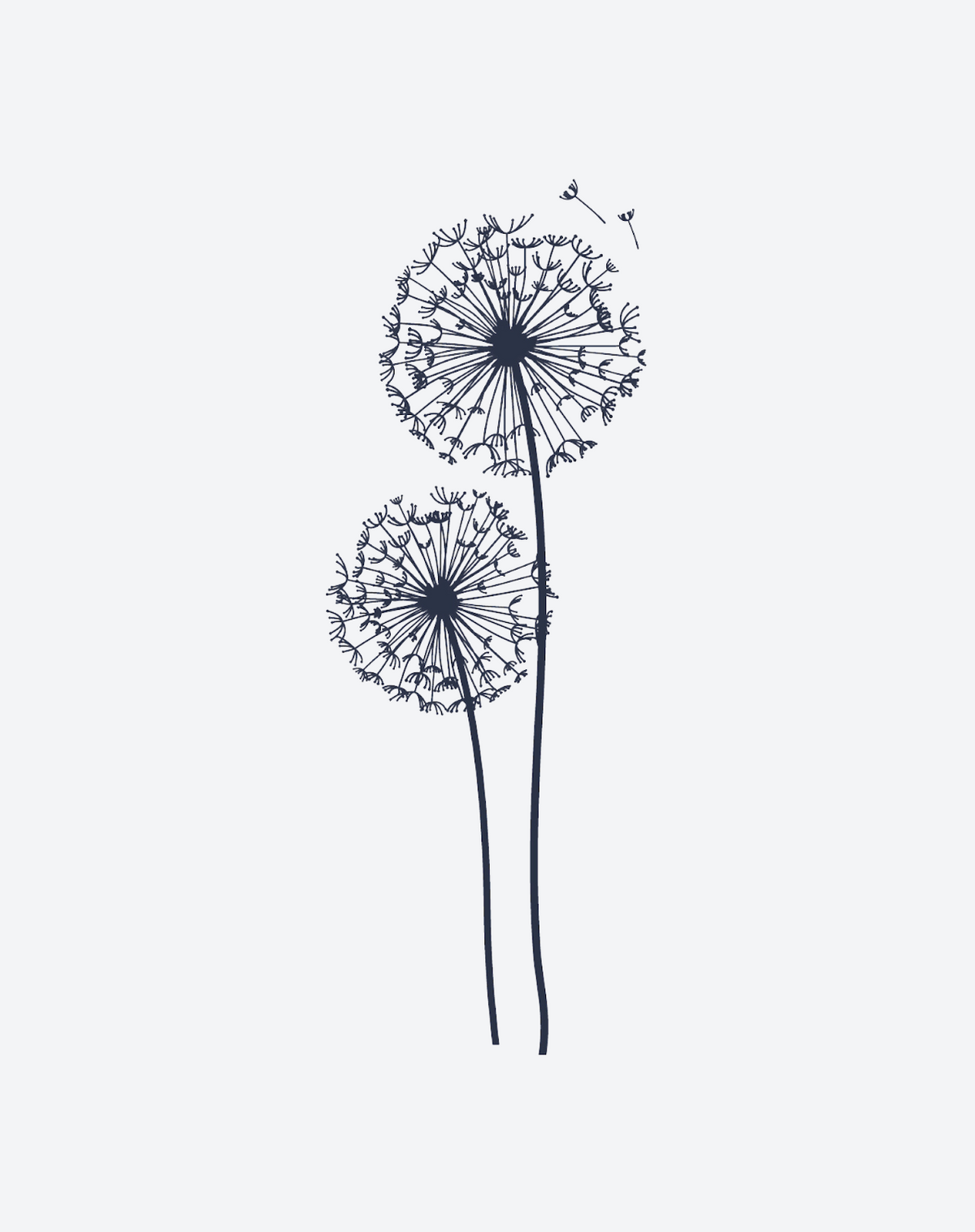 Dandelion Wish 2 Pcs
