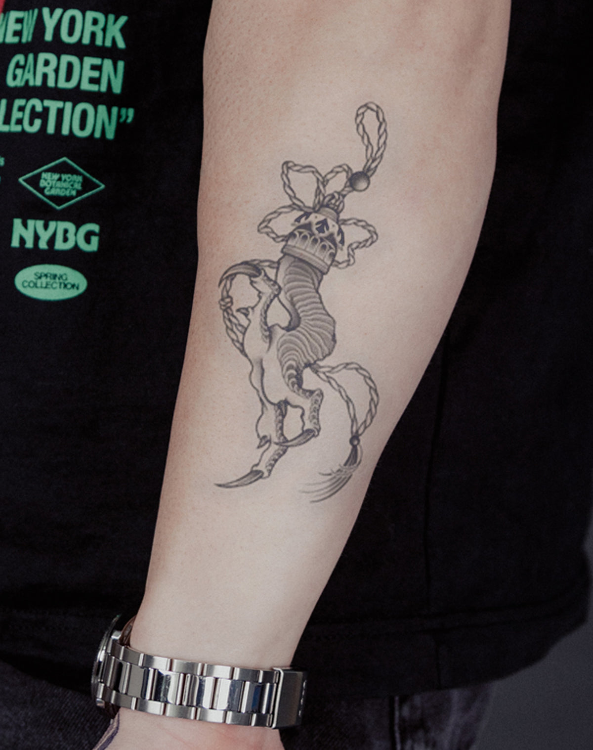 Dragon's Grip
