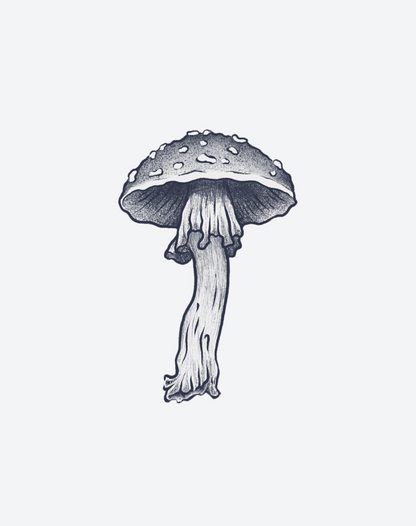 Earthbound 2 Pcs
