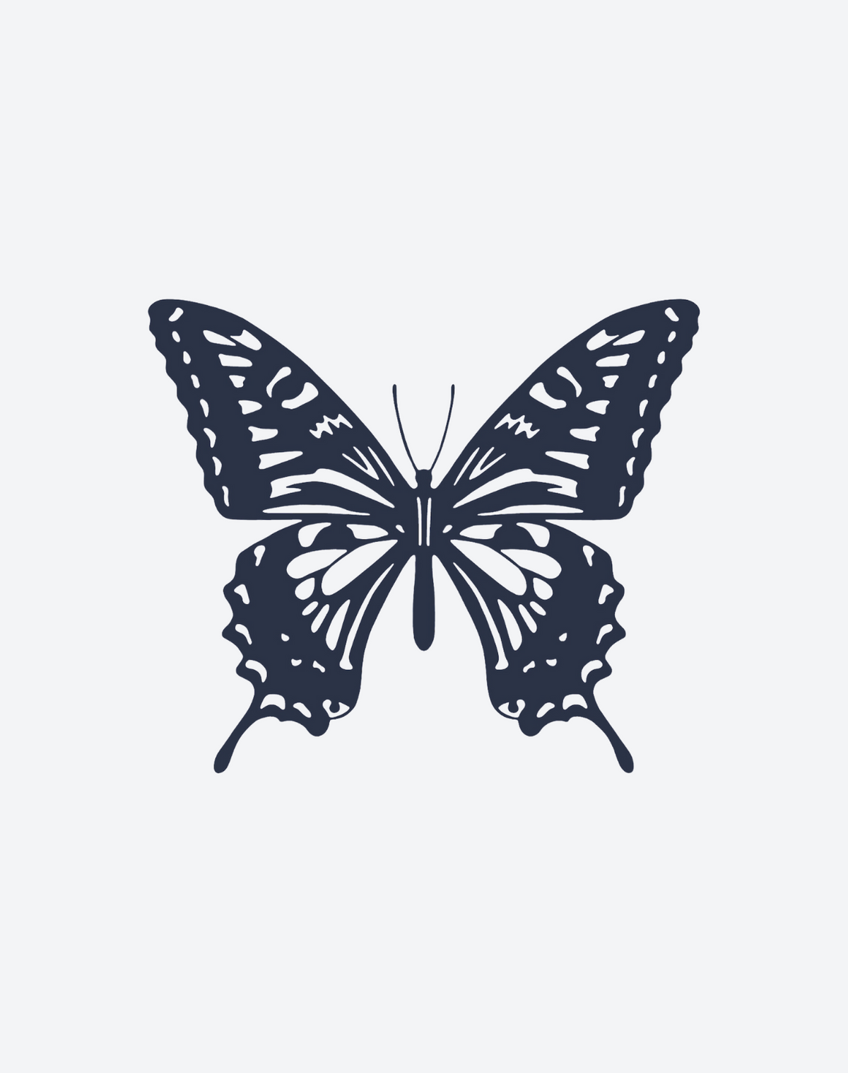 Edgy Butterfly