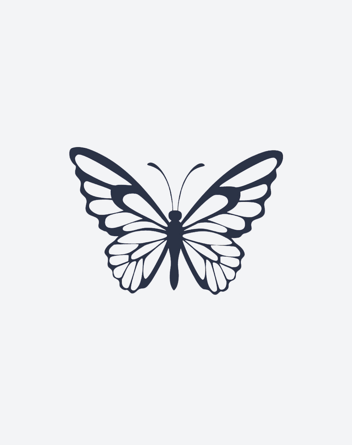 Elegant Wings 2 Pcs