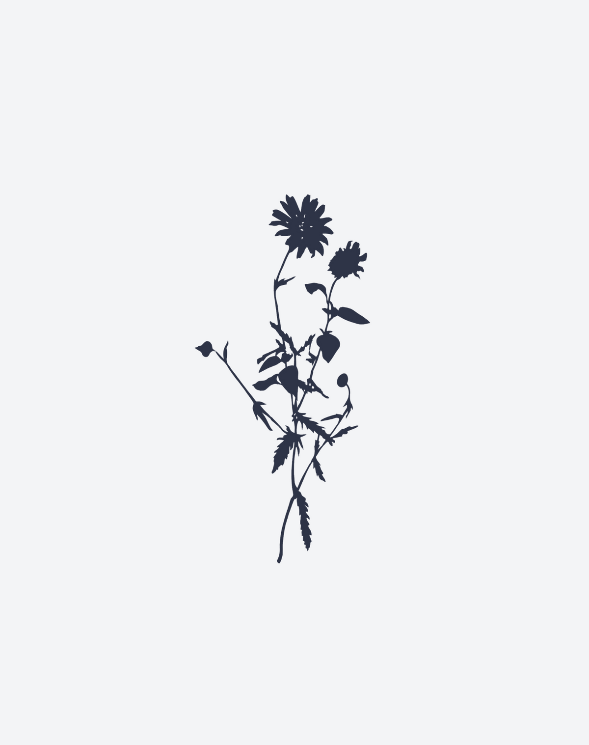 Faded Meadow 2 Pcs
