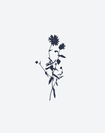 Faded Meadow 2 Pcs