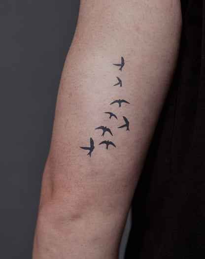 Flying Birds 2 Pcs