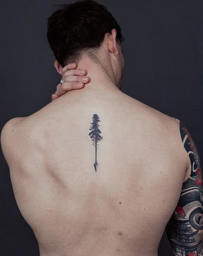 Forest Arrow