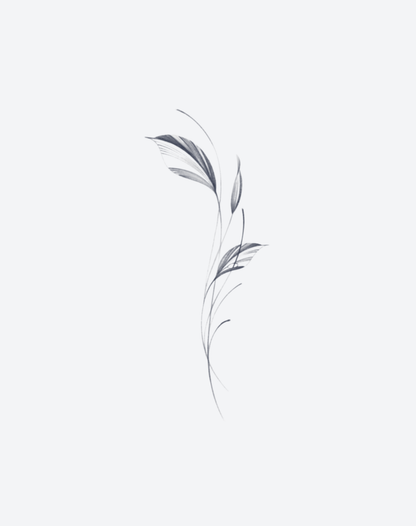 Gentle Breeze