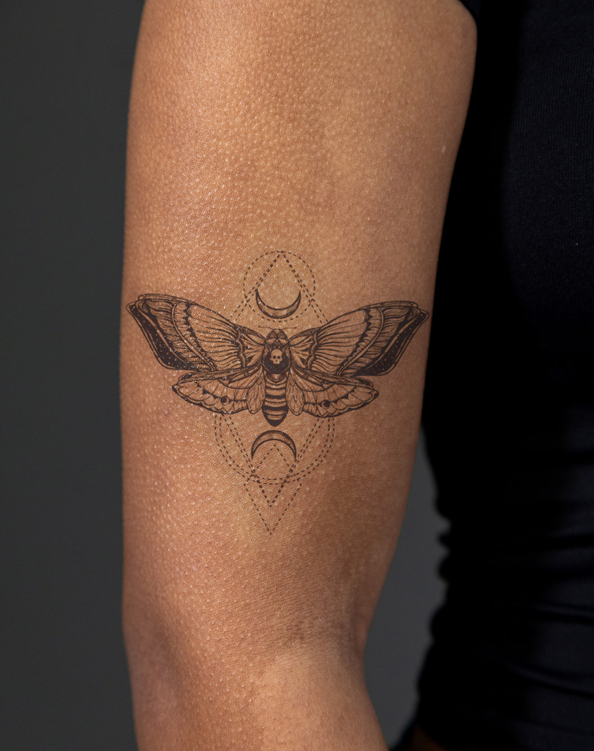 Geo Moth