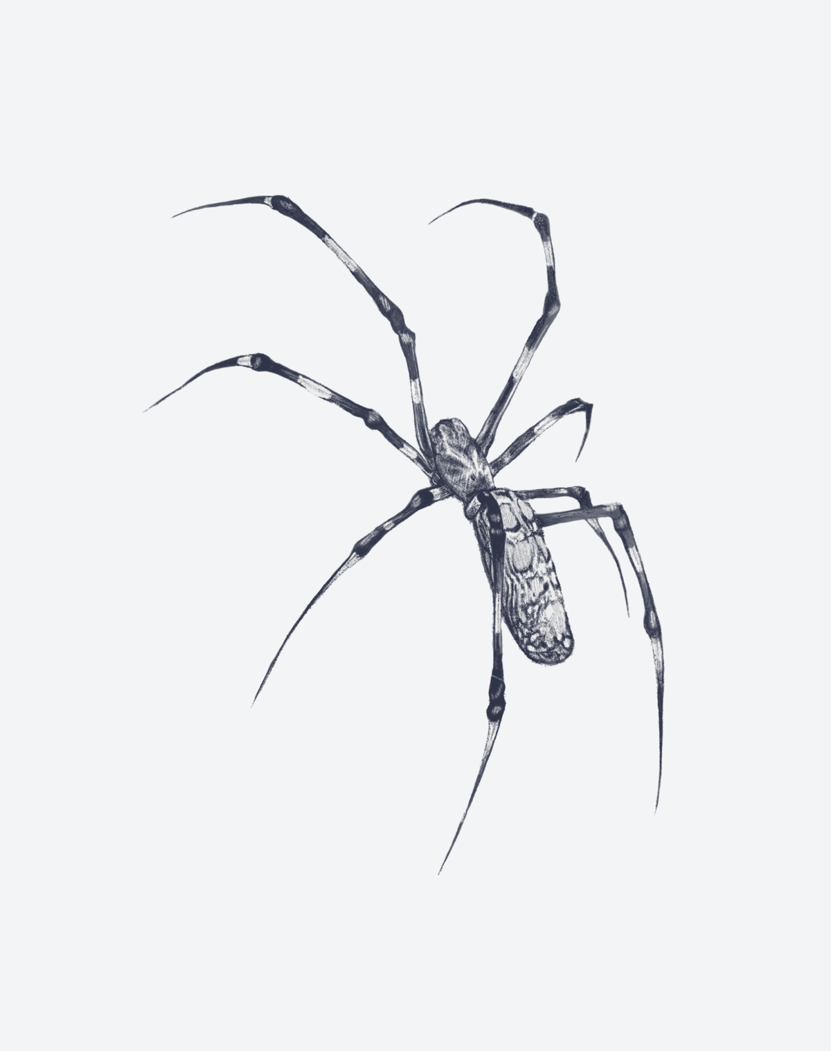 Golden Weaver