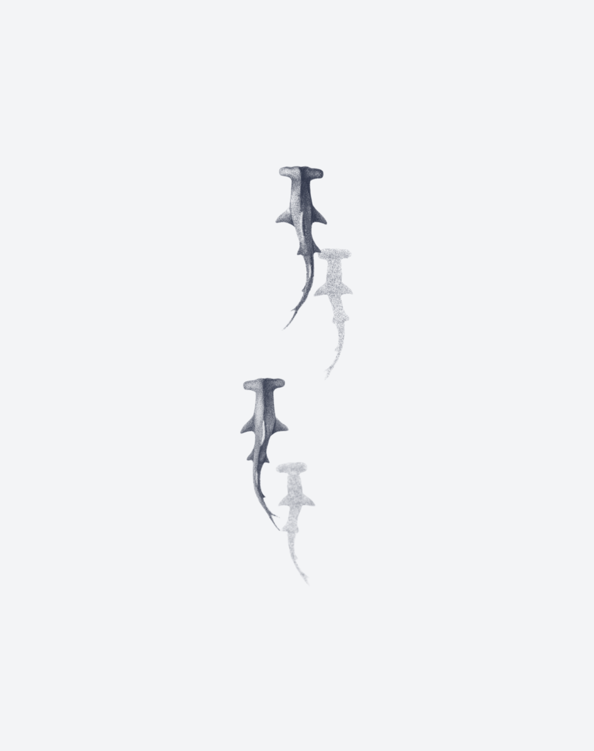 Hammerhead Mirage