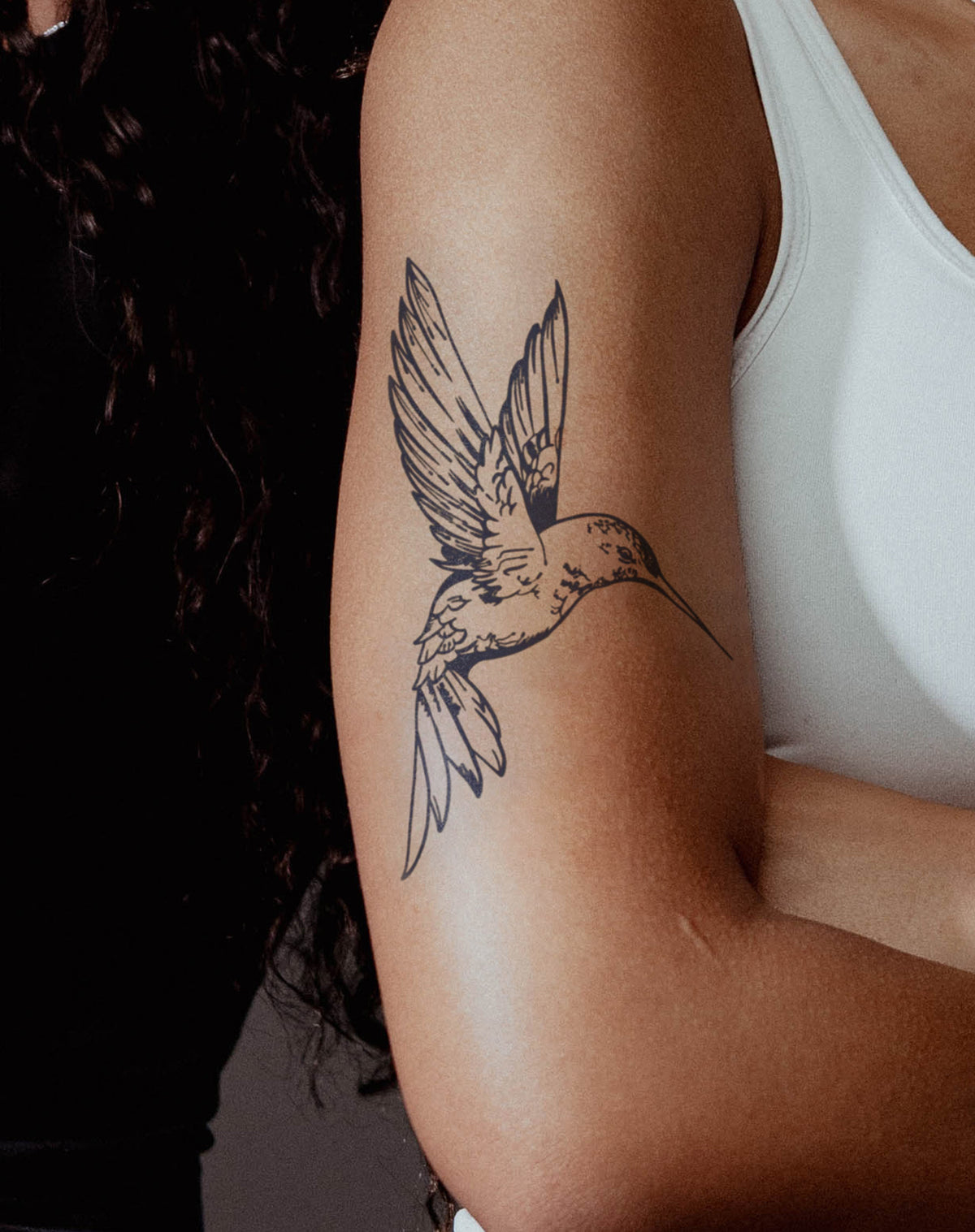 Hummingbird