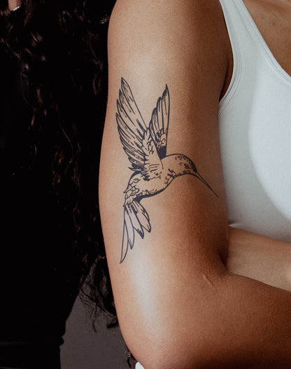 Hummingbird