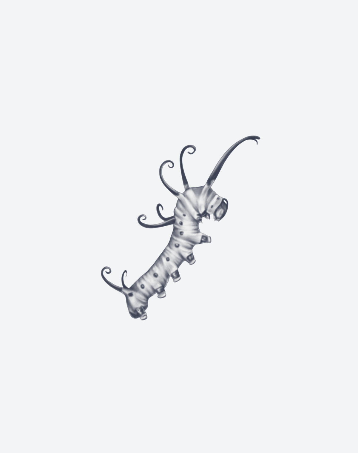 Larva 2 Pcs