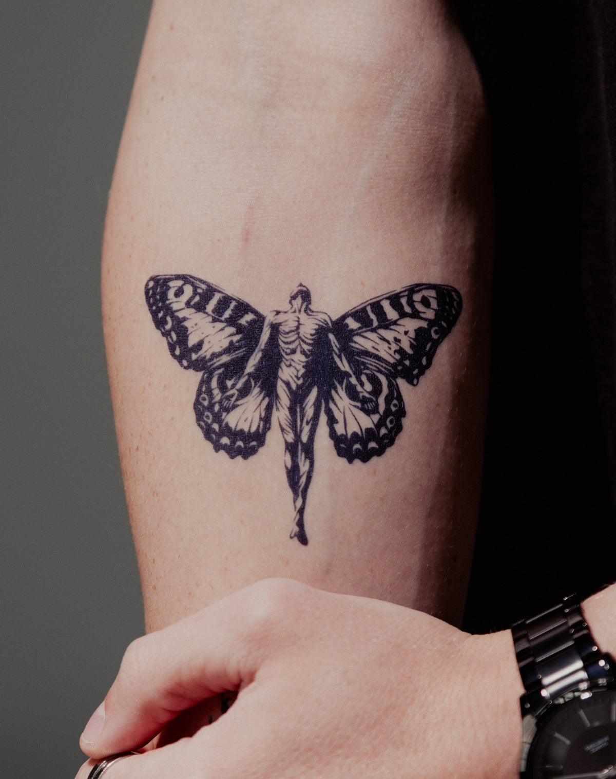 Metamorphosis