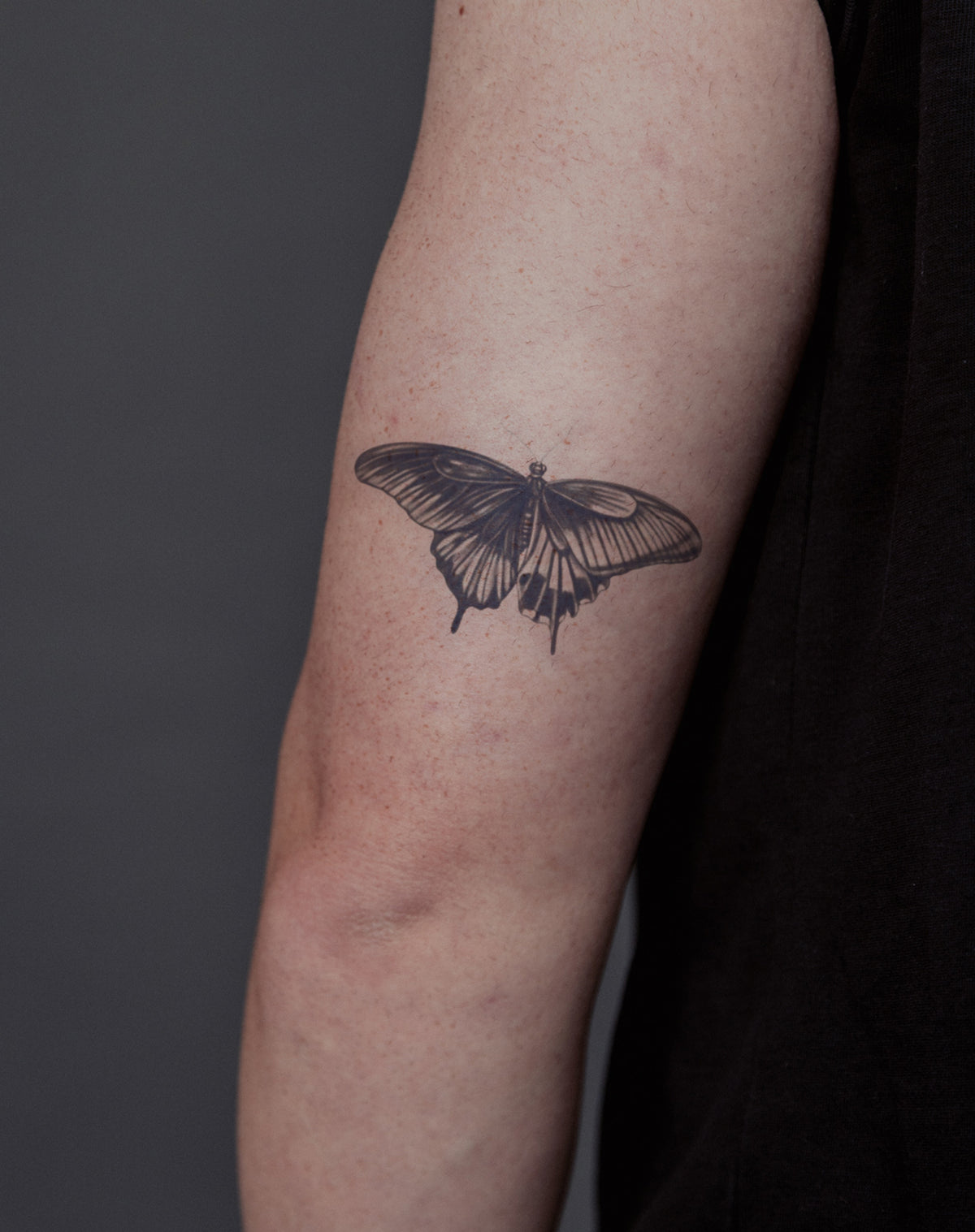 Midnight Monarch