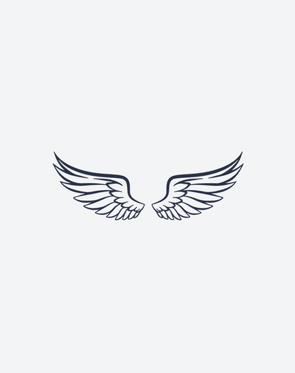 Mini Wings 2 Pcs
