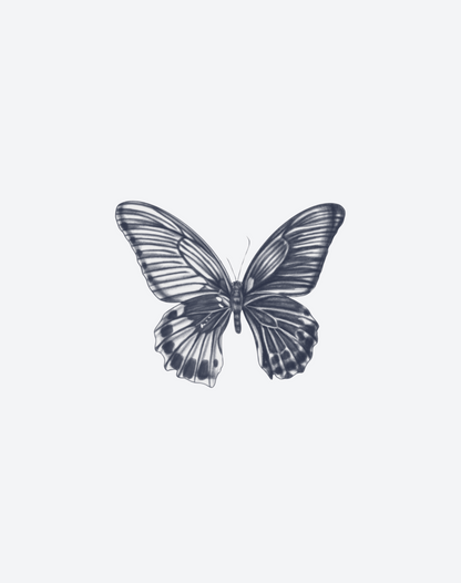 Nocturne in Flight 2 Pcs