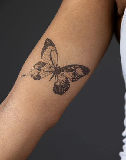 Noir Flutter
