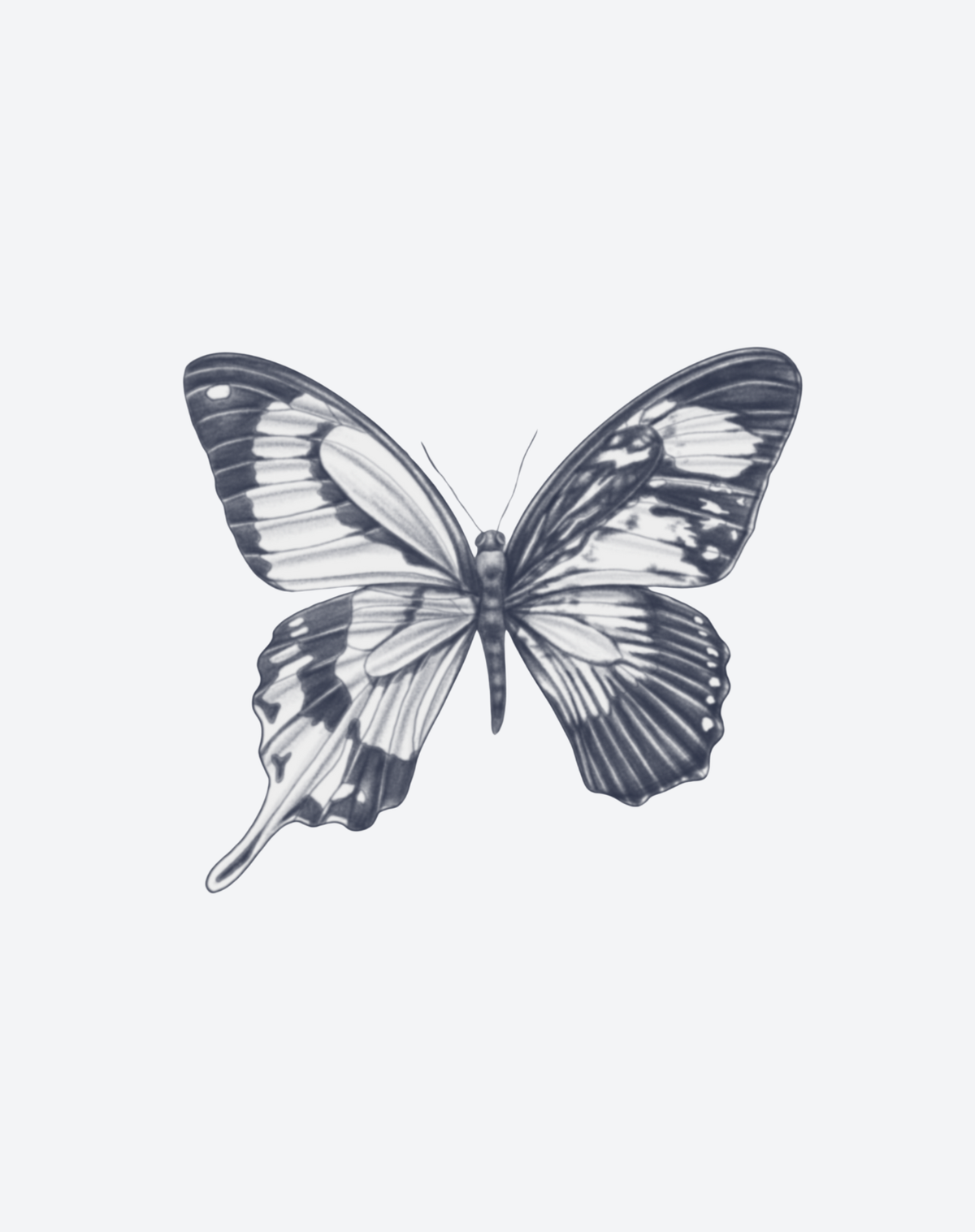 Noir Flutter