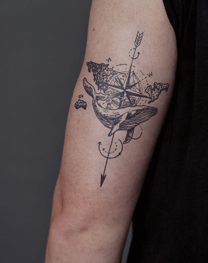 Ocean Traveller