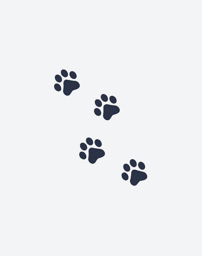 Paw Prints 2 Pcs