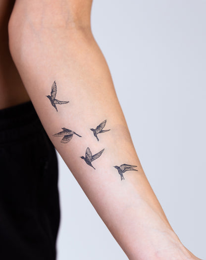 Peaceful Flock