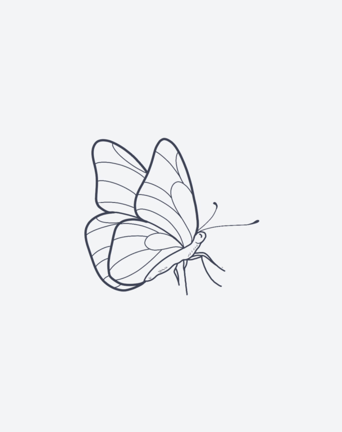 Petite Papillon 2 Pcs