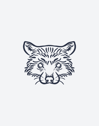 Raccoon 2 Pcs