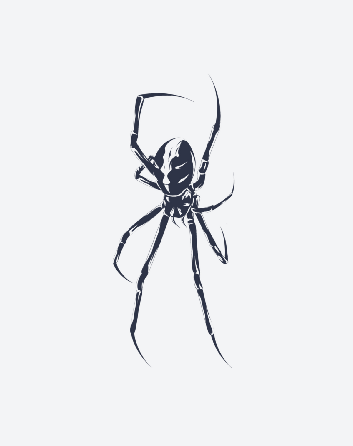 Redback 2 Pcs