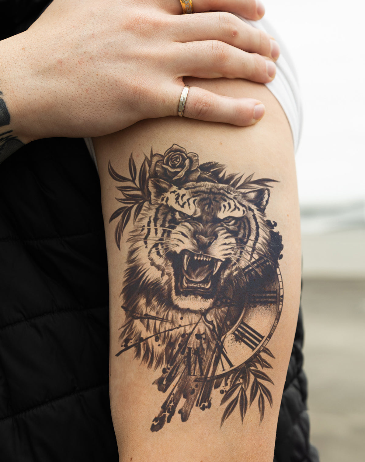 Sabertooth