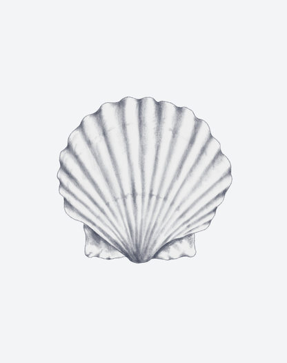 Scallop Song