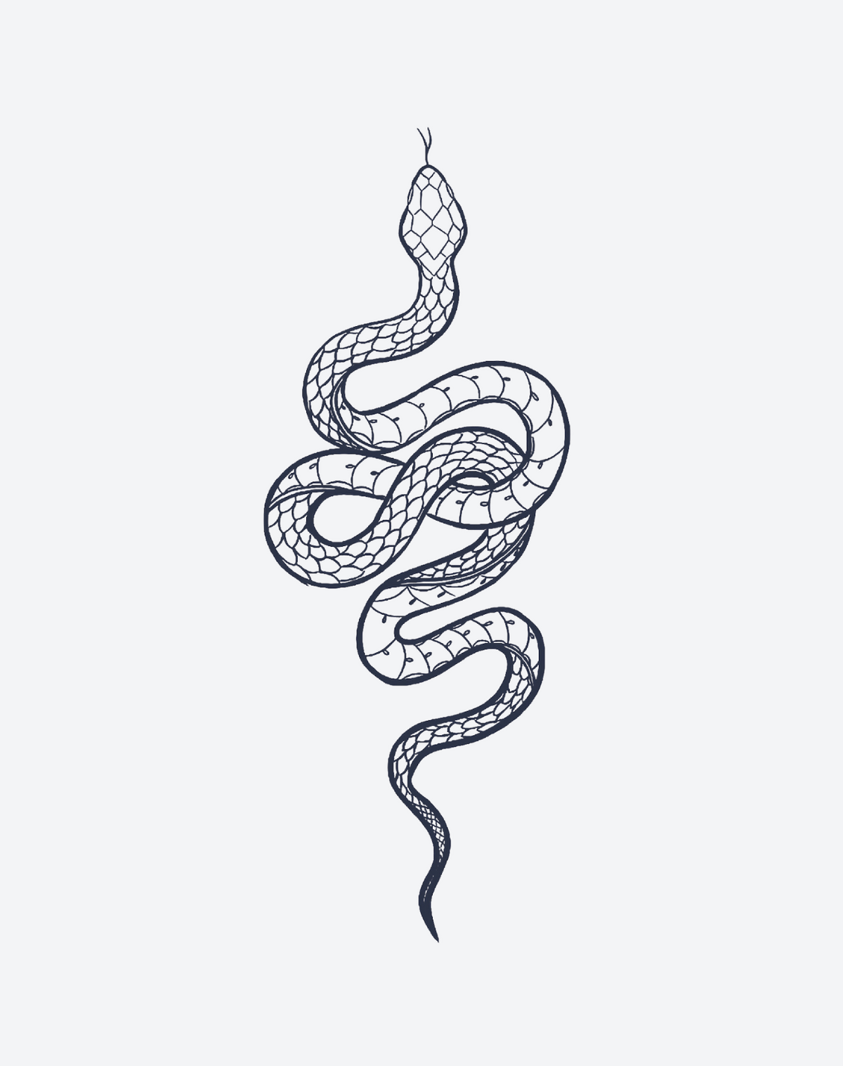 Scaly Snake