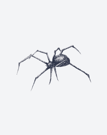 Scarred Spider