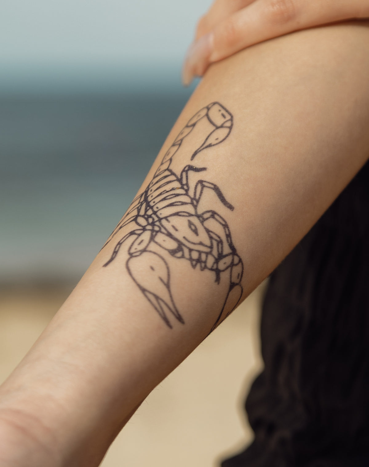 Scorpion