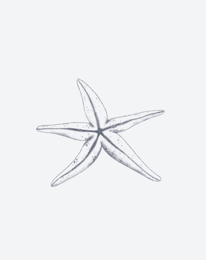Sea Warden