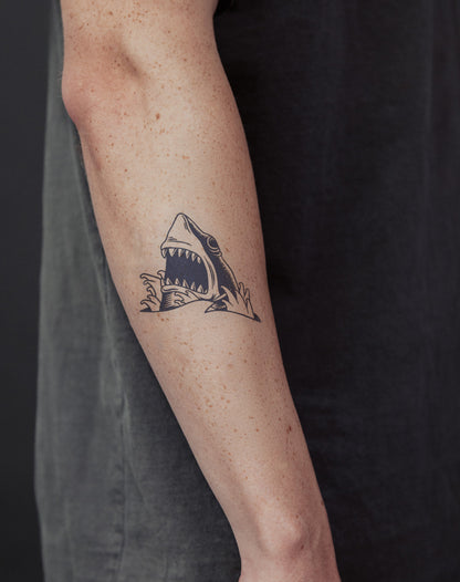 Shark Head