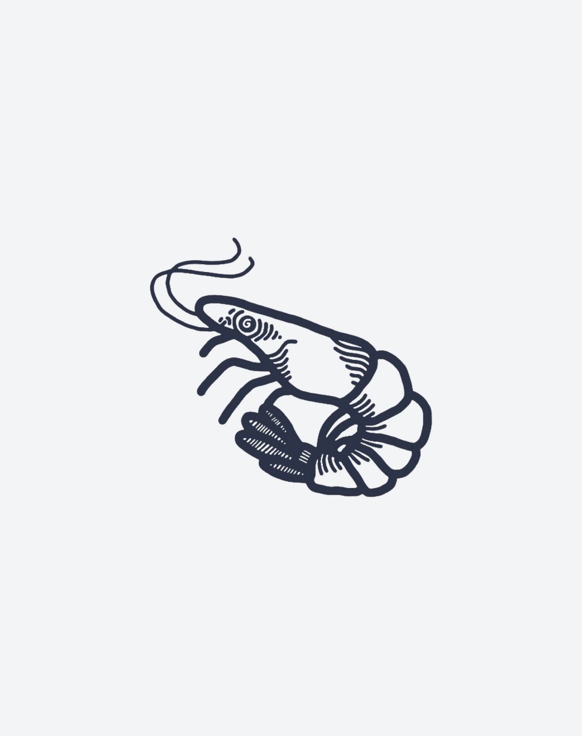 Shrimp 2 Pcs