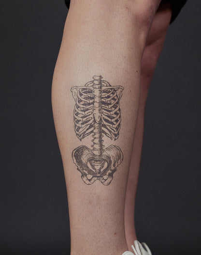 Skeleton