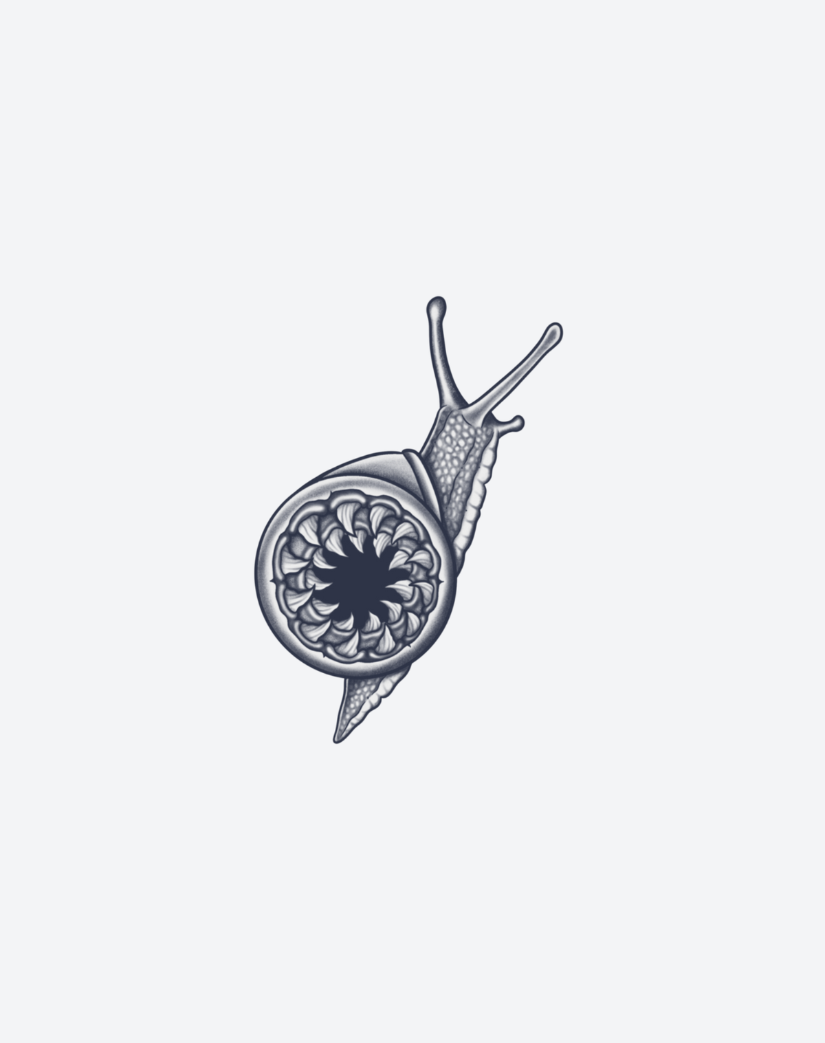 Slithercore 2 Pcs
