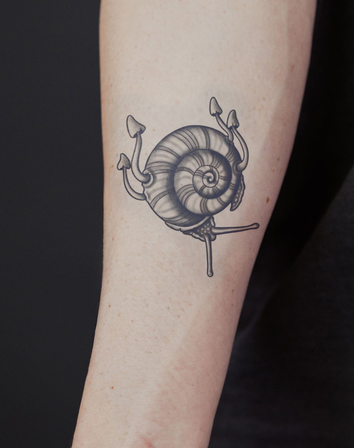 Slow Bloom