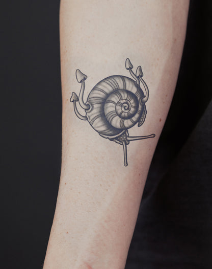 Slow Bloom
