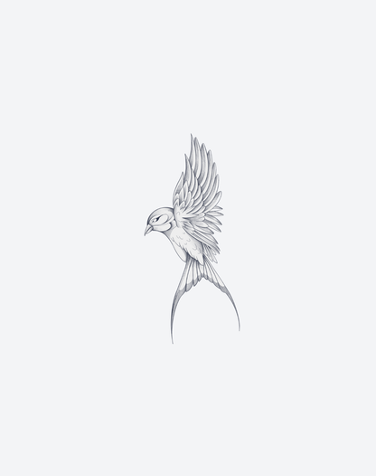 Soars 2 Pcs