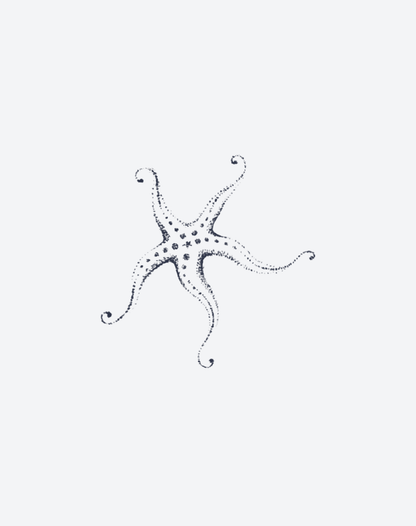 Star of the Sea 2 Pcs