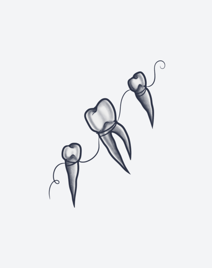 Tooth & Tether 2 Pcs