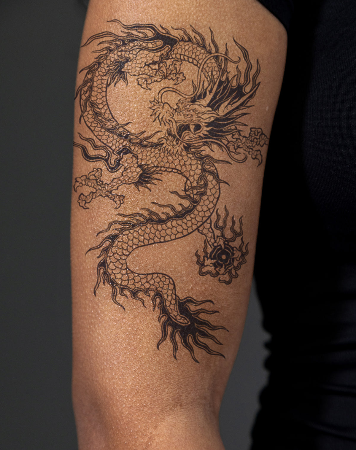 Traditional Japanese Dragon